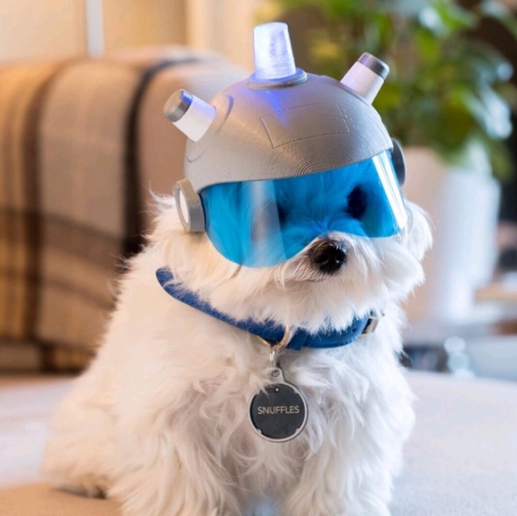 Meet your Posher, Adrian - Picture 1 of 1